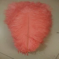 hot sales new 100 pcs watermelon red ostrich feathers 55 60 cm22 24 inches plume wedding performing art decoration feather