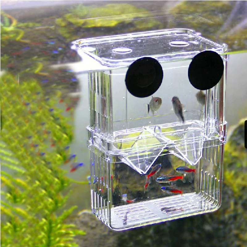 Изоляционная коробка Betta для разведения рыб мини аквариум с двумя отверстиями