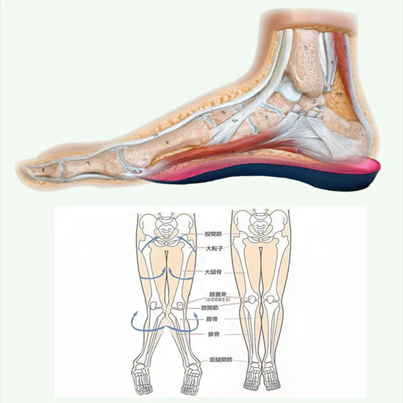 Arch Support Подушка 3/4 вставки плоские ноги Высокий Каблук Губка 3D стельки для обуви