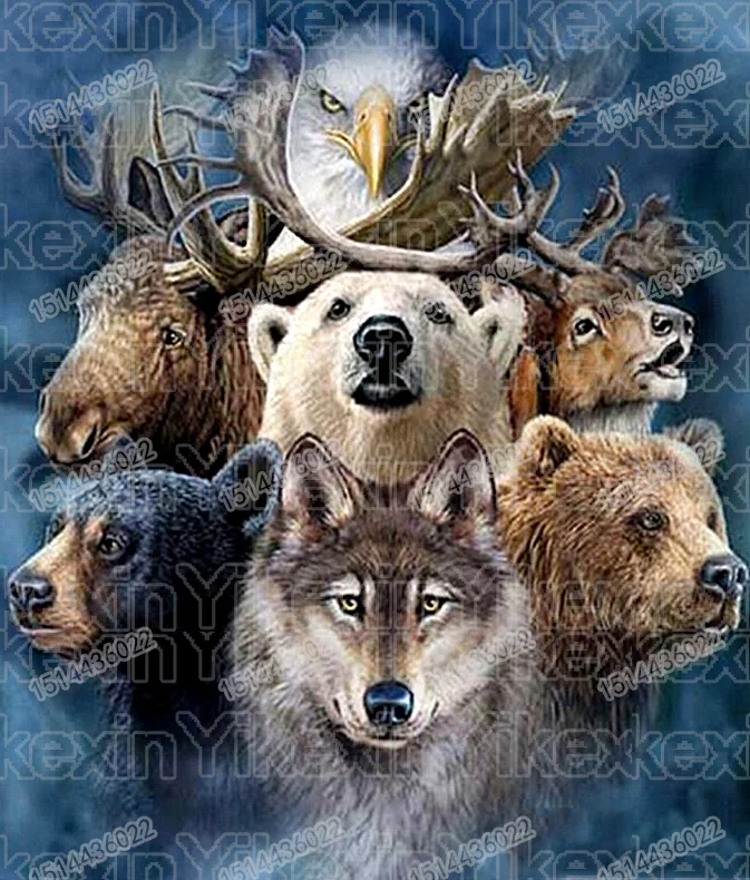 Алмазная 5D Вышивка волк медведь Орлан | Дом и сад
