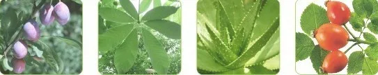 Бесплатная доставка натуральные растительные эфирные масла ингредиенты тонкий