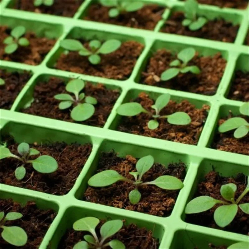 Коврик для рассады водонепроницаемый из ПВХ 52x24 см 110 В/220 В 18 Вт|seedling heat mat|heat mat