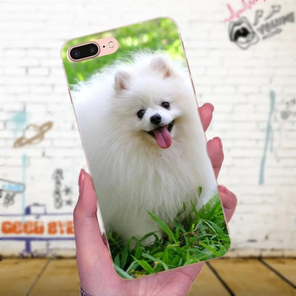 Pomeranian Dog Dogs For Galaxy J1 J2 J3 J330 J4 J5 J6 J7 J730 J8 2015 2016 2017 2018 mini Pro Top Detailed Phone Case | Мобильные