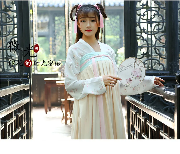 

Chinese Tang Ming Dynasty Ruqun Improved Hanfu Women Lolita Long Sleeve Cotton Chiffon Dress Costume Ancient Daily life Hanfu