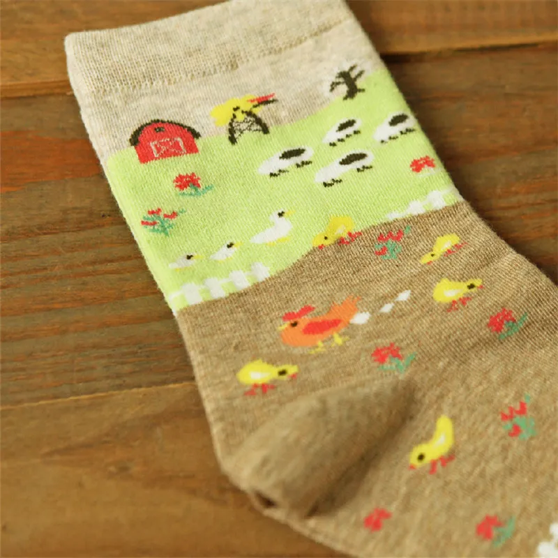 Женские хлопковые носки с рисунками Caramella 2 пара/лот|cotton socks for woman|socks womenfashion women |