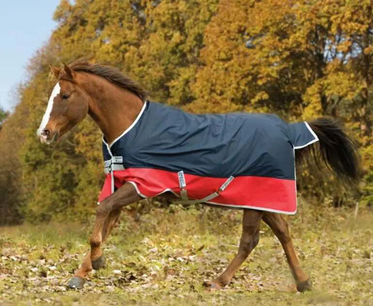 Водонепроницаемый коврик для лошадей весна осень|horse rug|horse racing clotheshorse |