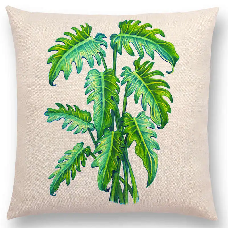 Акварельные растения гибискус Агава монстера филодендрон пион Феникс пальма