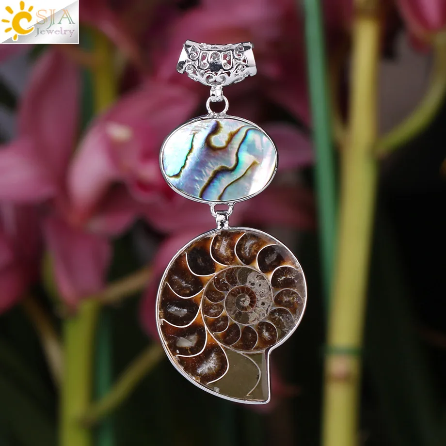Натуральный абаллоновый кулон CSJA подвеска в виде ракушки с окаменелостями для