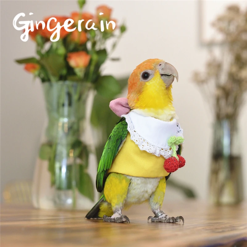 Gingerain одежда с птицами для попугаев вишневый свитер оригинальный ручной работы