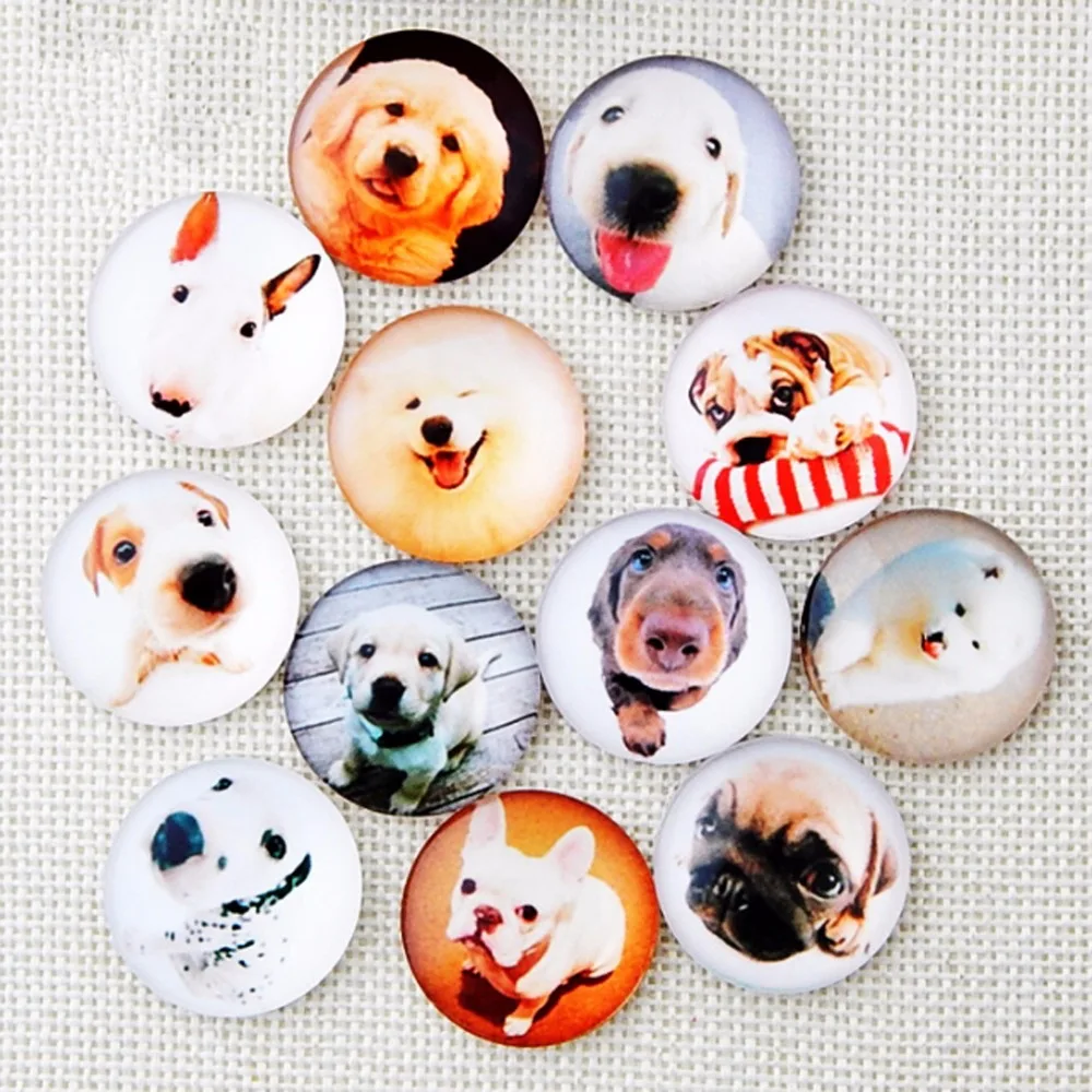 

(100pcs/lot) assorted animal dog round Cabochons mixed pictures flat back Glass Cabochons For Jewel DIY