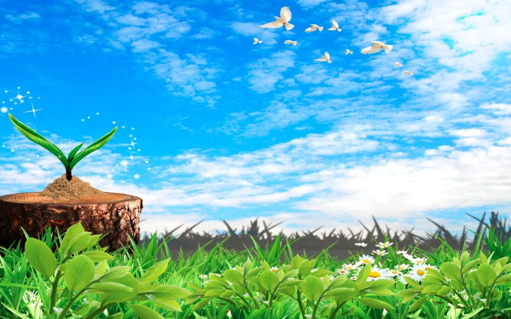 2019 curtains customize living room bedroom 3d stereoscopic Blue sky white clouds green grass blackout | Дом и сад