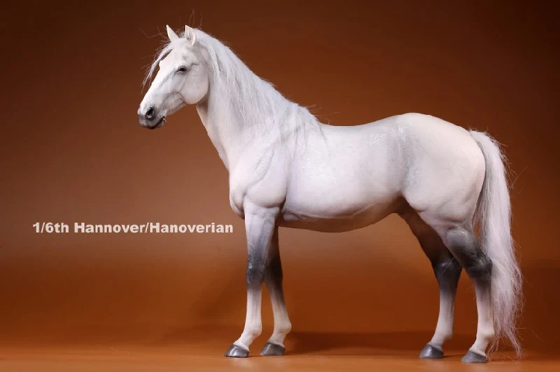 1/6 весы белый Hanoverian реалистичные Животные модели Hannover с изображением лошади
