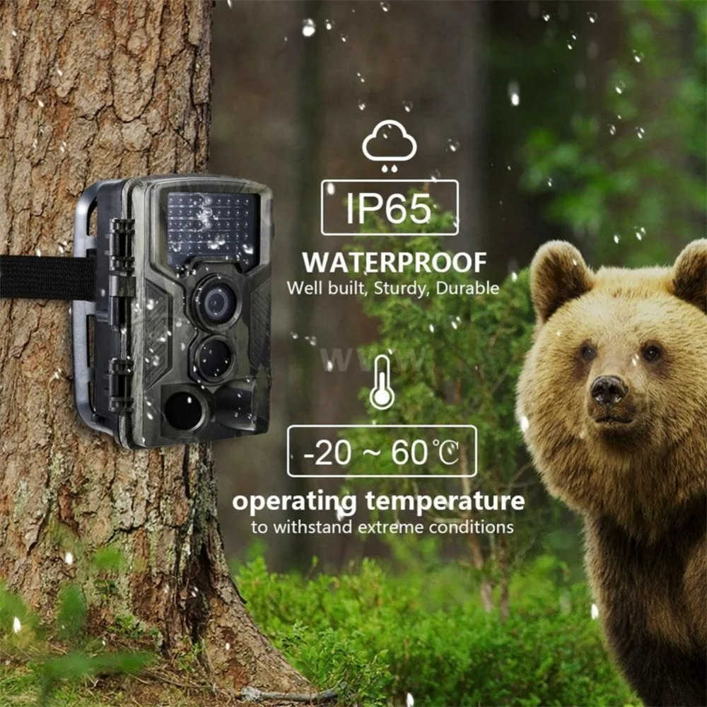 Suntekcam 16MP HC800A Камера Ловушка Охота IP65 Водонепроницаемый Ночное видение камеры для