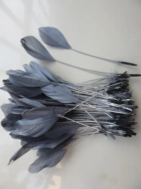 Новинка! Бесплатная доставка продажа кофейного цвета 20 шт красивое гусиное перо