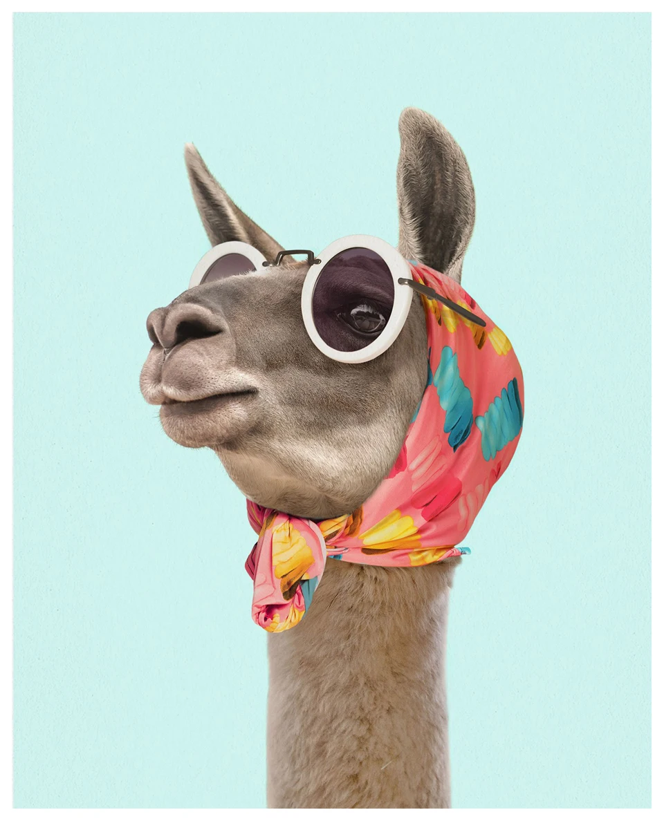 Мода Llama Художественная Печать Холст Плакаты и принты современное платье llama платок солнцезащитные очки фото картина стены Искусство украшение дома