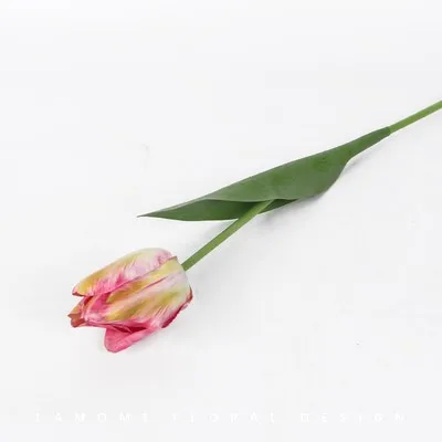 rose red Высокое качество Ирландия мягкий клей Искусственные цветы тюльпаны поддельные цветы для украшения дома Свадебные украшения Свадебные аксессуары - Цвет: rose red