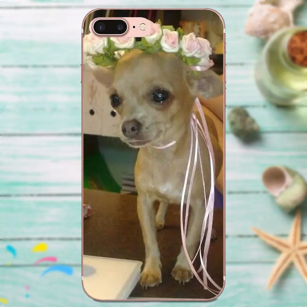 ТПУ чехлы накладки животных чихуахуа с цветком для Galaxy A3 A5 A7 On5 On7 2015 2016 2017 Grand Alpha G850