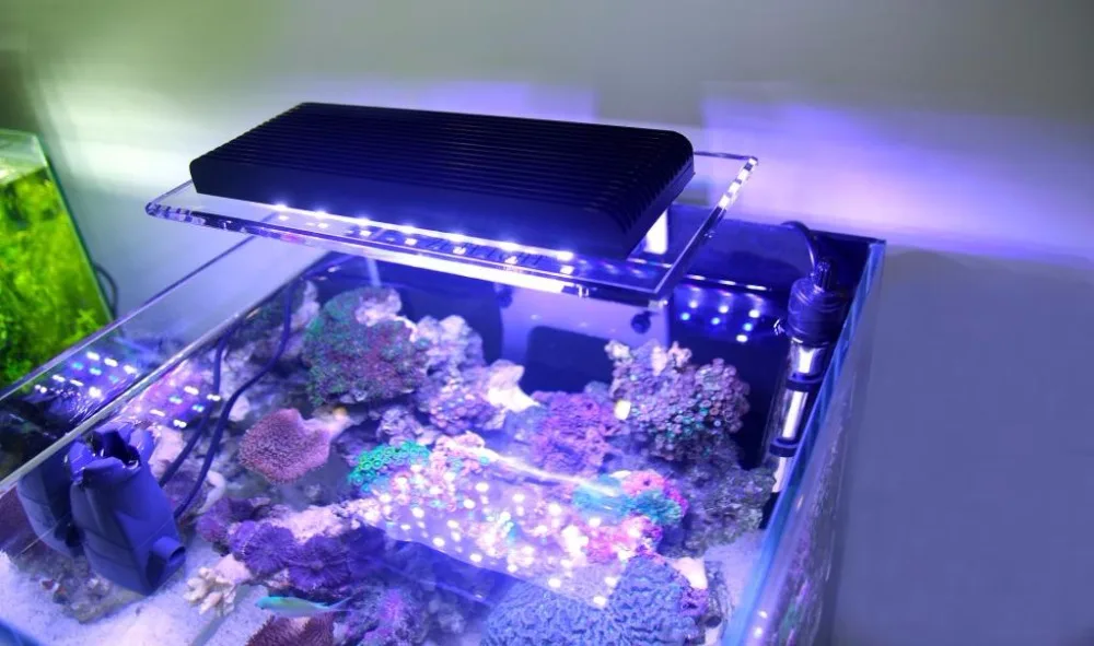 ZETLIGHT ZA1201L ZA-1201WIFI 16 Вт Тилапия рыба Коралл аквариумные и террариумные морской Террариум Маяк аквариум лампа