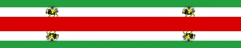 

Factory Supply Stock Scarf Printing Satin Iran Flag Scarf 120X12CM Scarves Free Shipping