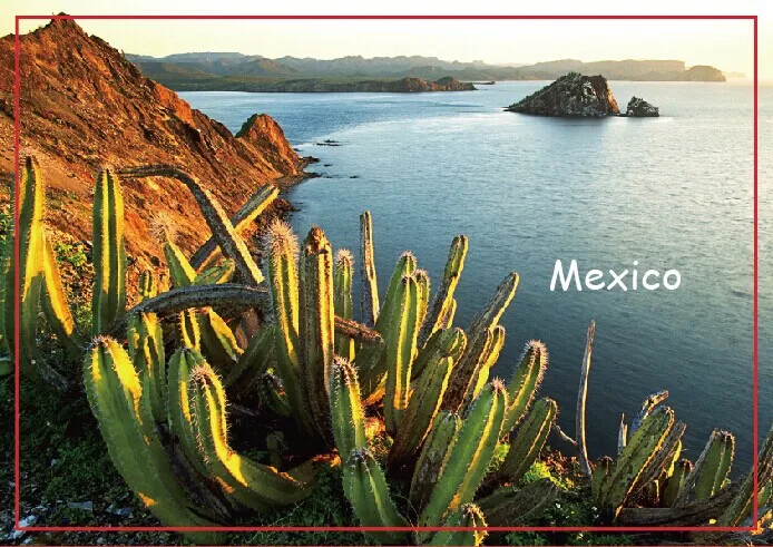 

Travel Refrigerator Magnets 78*54mm,Isla Datil.Mexico Tourist Rigid Magnets 20594 Drop Shipping Accept