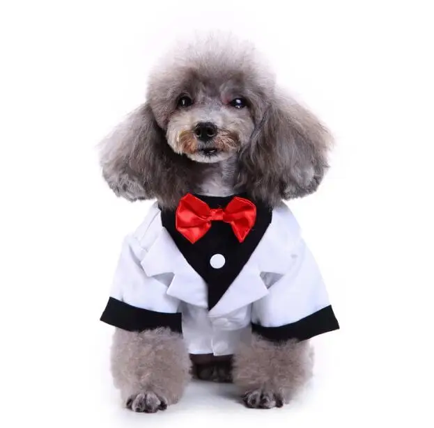 Джентльменская Одежда для собак кошек принц Свадебный костюм милый Cachorro Mascotas