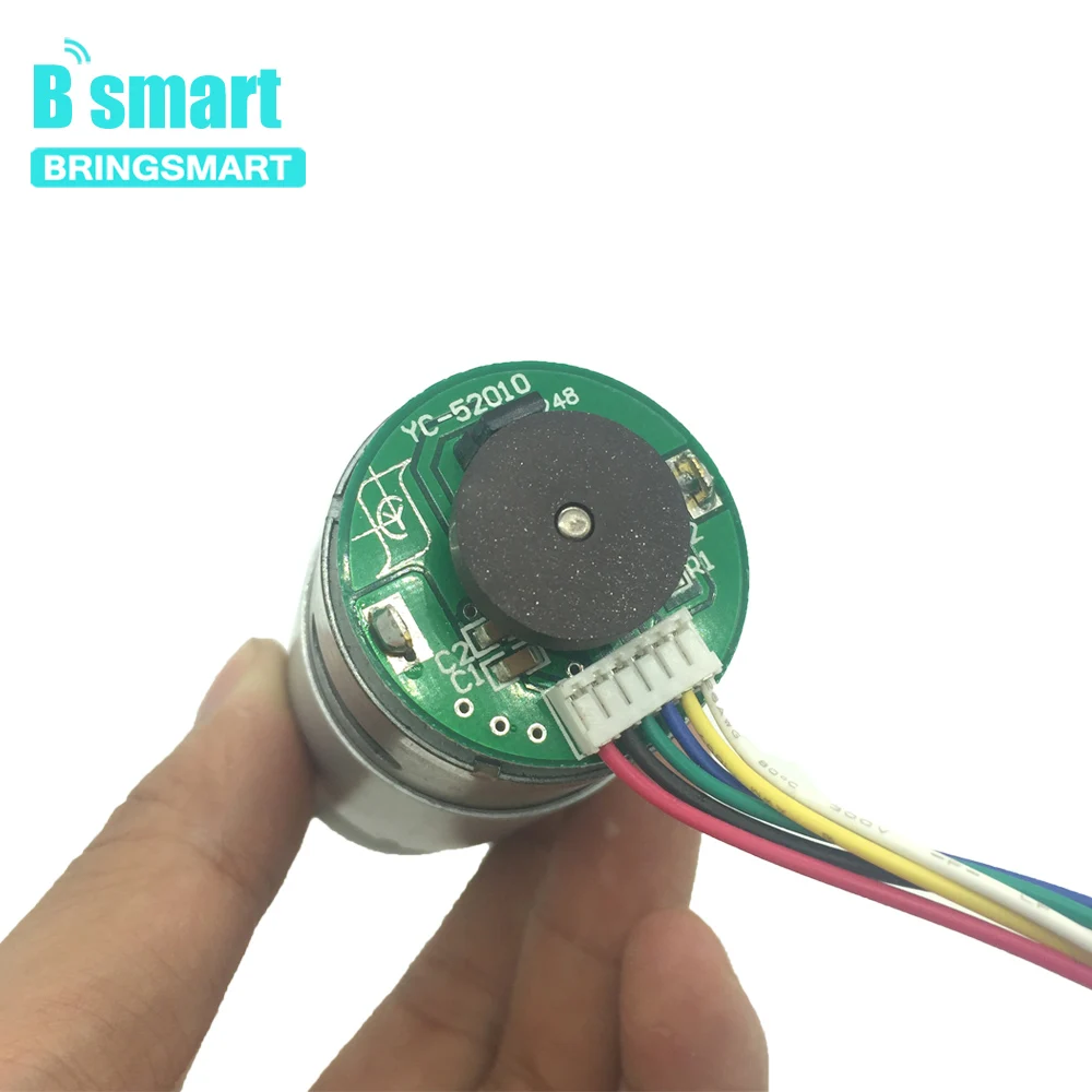 Редукторный двигатель постоянного тока Bringsmart 12 В 4 640 об/мин Редукционный