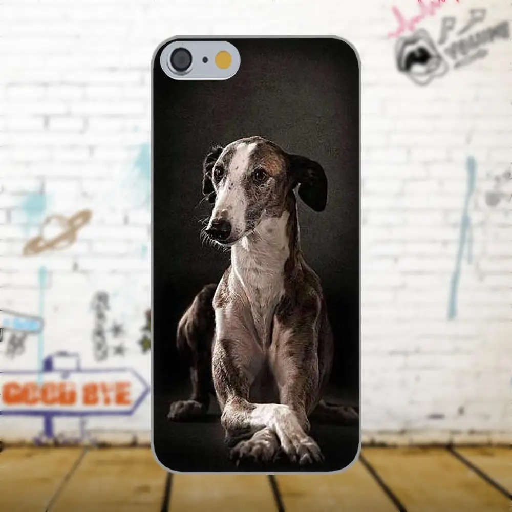 Oedmeb Galgo Greyhound Dog для Apple iPhone X 4 4S 5 5C 5S SE 6 6S 7 8 Plus LG G3 G4 G5 G6 K4 K7 K8 K10 V10 V20|Бамперы| |