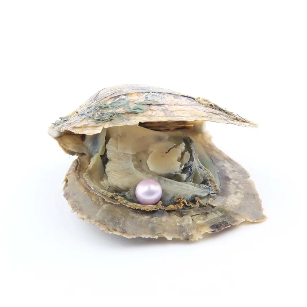10 шт. Akoya Pearl Oyster культивированный летний цвет Love Wish Oysters с 7 8 мм круглый жемчуг
