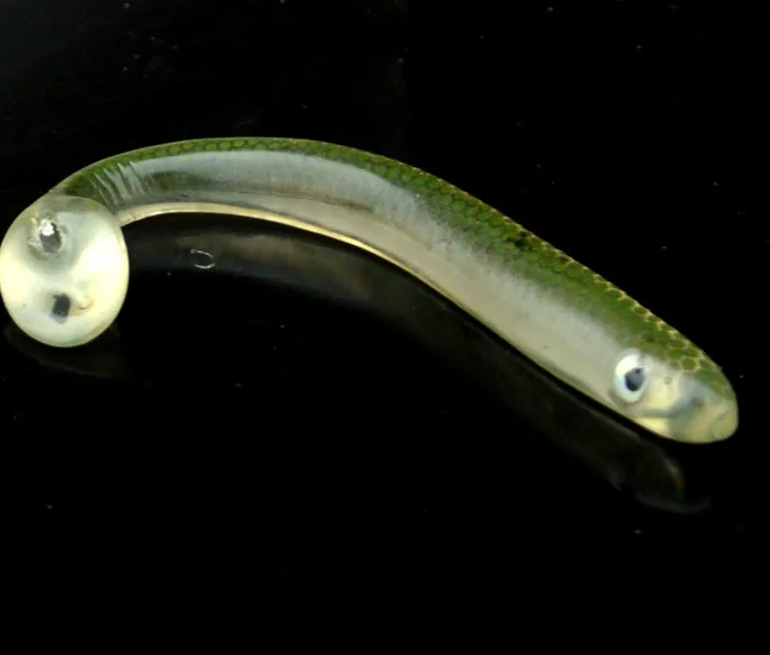 Ручной работы полые мягкие приманки 13 см/9 г рыболовная приманка 3 шт. для рыбалки |