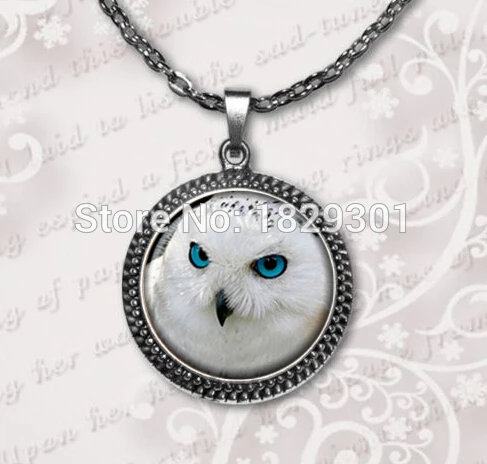 Сова Кулон сова Ожерелье Ювелирные Изделия Стеклянный Купол Ожерелье|necklace