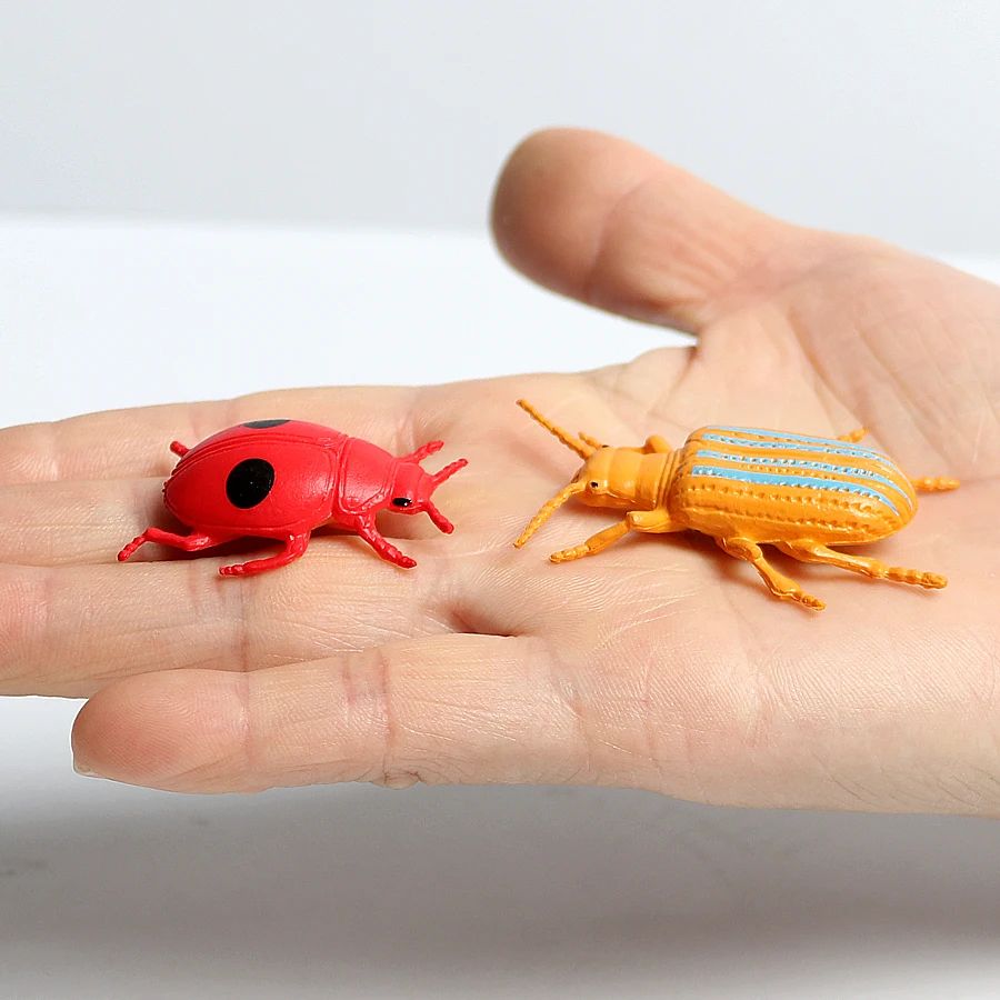 Модель Beetle модель моделирования для детей раннее Когнитивное обучение фигурка