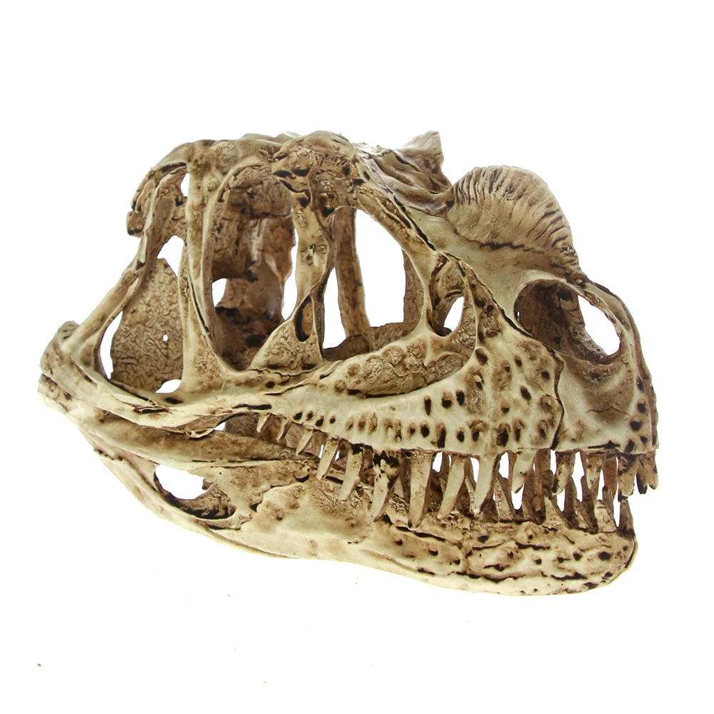 Высокая точность Ceratosaurus модель черепа Рекс Динозавр Смола окаменелый череп