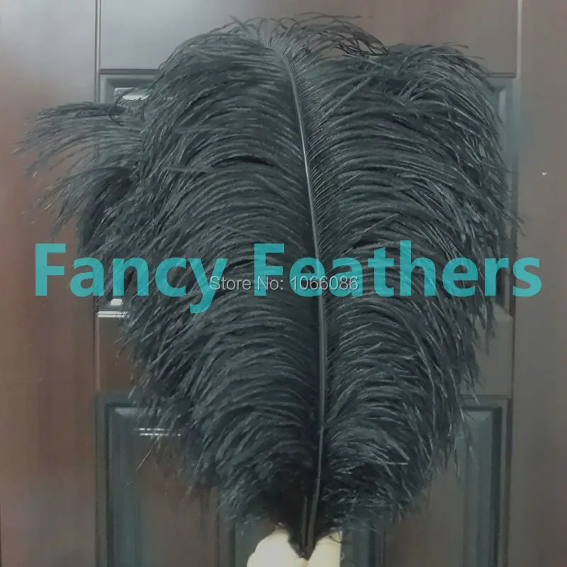 

EMS Free Shipping 50pcs/lot 55-60cm 22-24 inches Top quality Black ostrich feathers ostrich plumages plumes