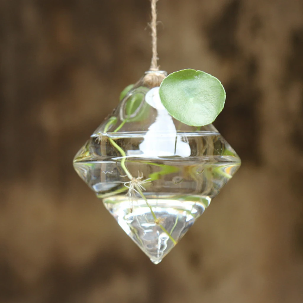 Подвесная стеклянная ваза геометрической формы сделай сам для посадки растений