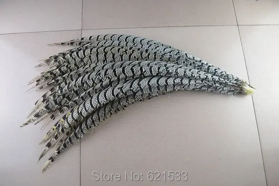 

50pcs 35-40inch 90-100cm nature long Lady amherst center tails,pheasant tail feathers,Lady amherst pheasant feathers