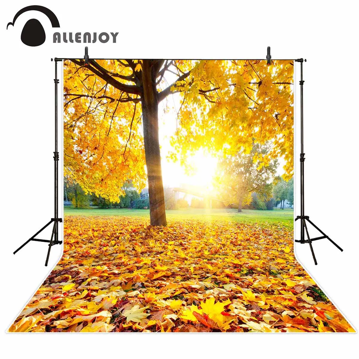 

Allenjoy Профессиональный фон для фотосъемки красочный осенний Восход красивый желтый павший фон с листьями пейзаж фотосессия
