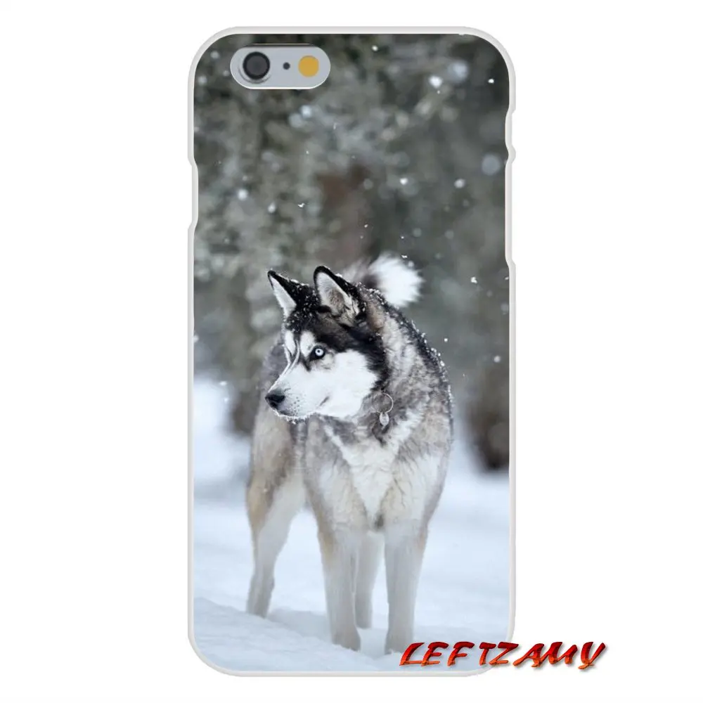 Прозрачный мягкий чехол для телефона Alaskan Malamute Siberian husky dog Sony Xperia Z Z1 Z2 Z3 Z4 Z5 compact M2 M4