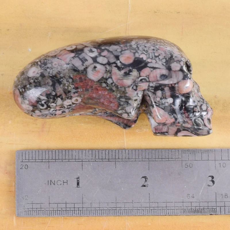 3-дюймовый Crinoid Jasper Статуэтка-череп из натурального камня минеральной резные Реалистичная статуя Исцеление дома орнамент искусство коллекционные