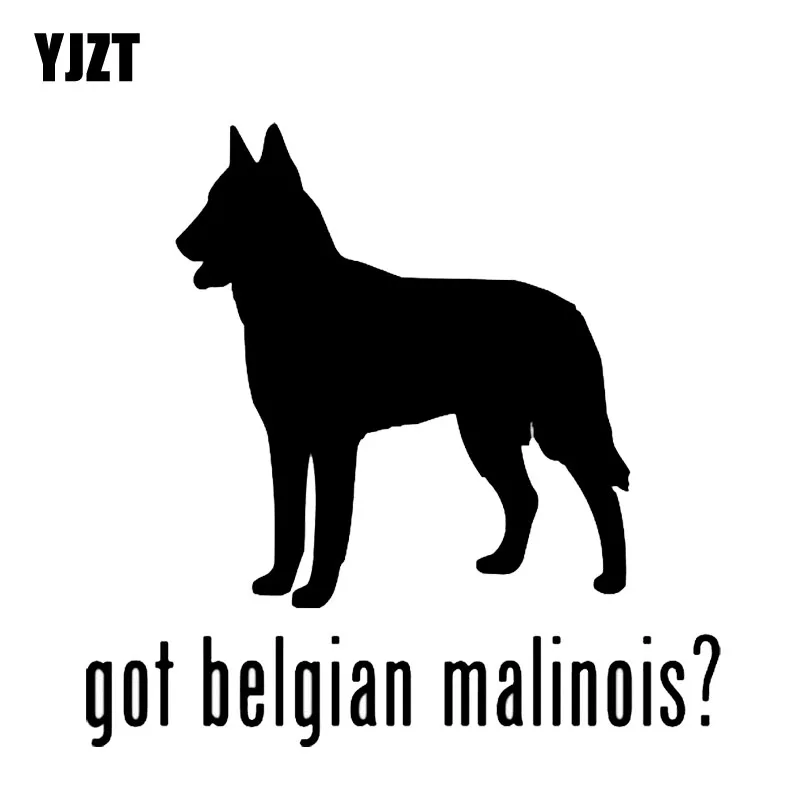 YJZT 15*15 см Виниловая наклейка на окно автомобиля с изображением животных|vinyl decal|dog