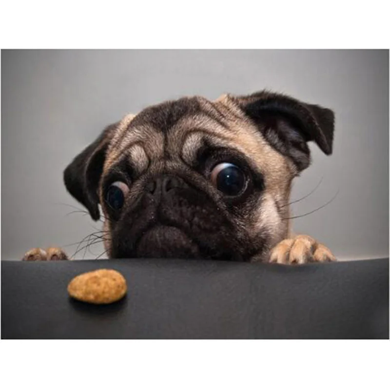 Diy алмазная живопись собака Шарпей рукоделие с вышивкой в виде животных и смолы