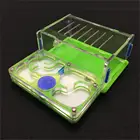 Муравейник-виноград M плоская влажность с зоной кормления муравейник, муравейник акриловый, насекомые муравейник вилла домашнее животное продвинутая мания для Домашние муравьи