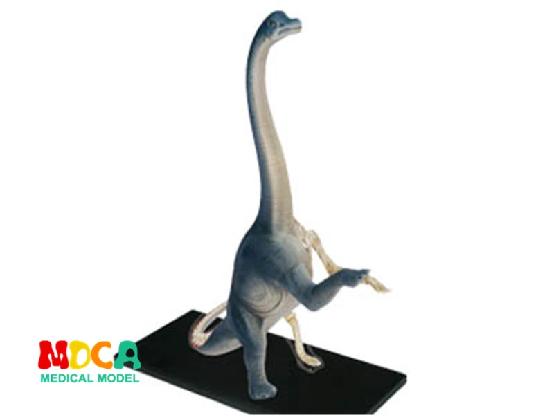Brachiosaurus 4d мастер головоломка сборка игрушек биология животных динозавр