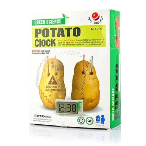 Музей науки картофеля будильник-зеленый наука овощной питания | Дом и сад
