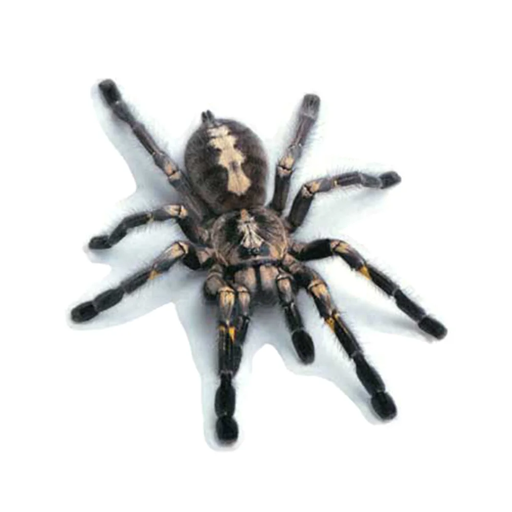 Black Spider Горячая 3D ПВХ стикер автомобиля ящерица скорпион паук наклейка на кузов и окна автомобиля Наклейка JLD - Название цвета: Black Spider