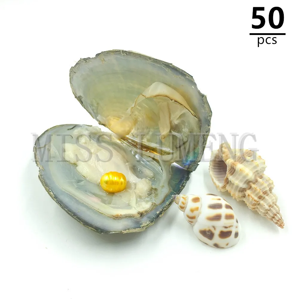 MISS LUMENG 8-10mm 50pcs Fashion Akoya Oyster with Rice Pearls 12 colors in Pearl DIY Birthday Gifts | Украшения и аксессуары