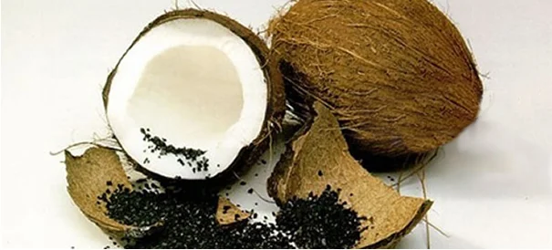 Фильтр для воды бытовой кухонный Health Tech cocoanut с активированным углем кран фильтр