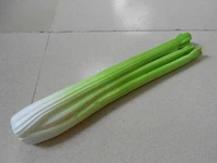 pu celery green onion vegetables fruit toys model simulation food educational kid pretend play house children kitchen toy 2021