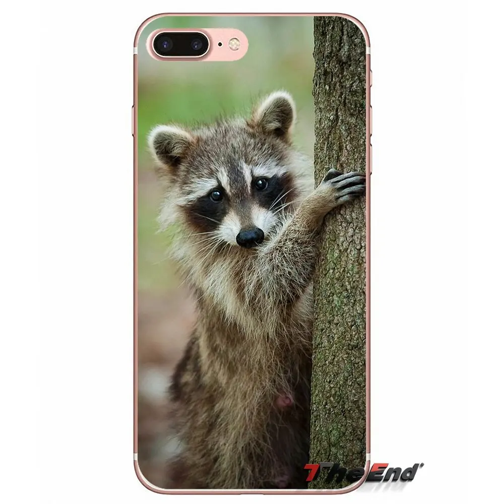 Силиконовые чехлы Kawaii Детские еноты для Huawei Honor 7X V10 6C V9 6A Play 9 Mate 10 Pro Y7 Y5 P8 P10 Lite Plus GR5