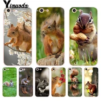 for iphone 13 7 case squirrel water drink green grass transparent phone case for iphone 13 8 7 6 6s plus x 10 se xr xs xsmax