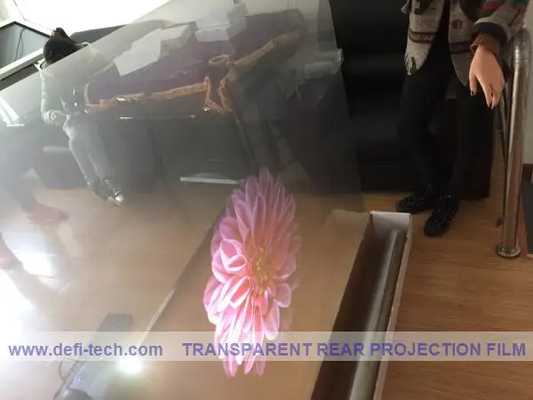 DfLabs (в продаже!) 1 524 м * Голографическая пленка задняя проекционная | Электроника
